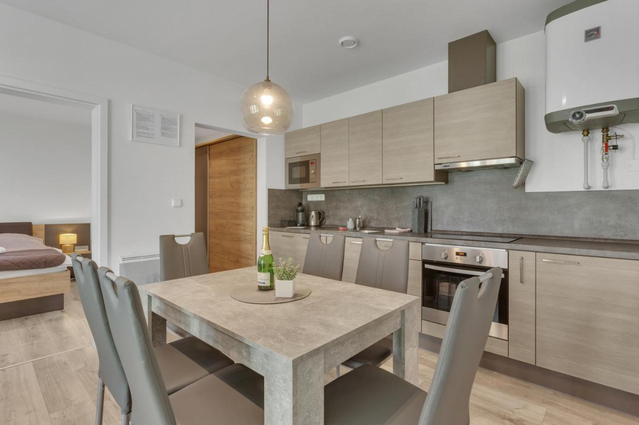 Family Apartments Klinovec Loučná pod Klínovcem المظهر الخارجي الصورة
